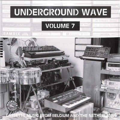 Various Artists / UNDERGROUND WAVE VOL. 7 (LP) / WALHALLA RECORDS / WR020 / 12 