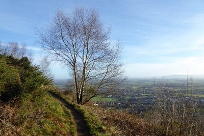 Photo 6x4 Path on the Malvern Hills Great Malvern A path on the eastern s c2017