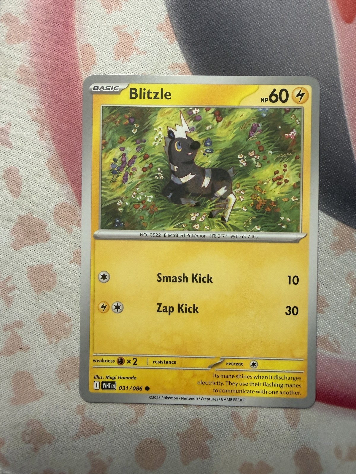Blitzle Common SV: White Flare 031/086 NM English Pokemon Card