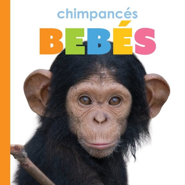 Chimpancés bebés/ Baby Chimpanzees, Paperback by Greve, Meg, Brand New, Free ...