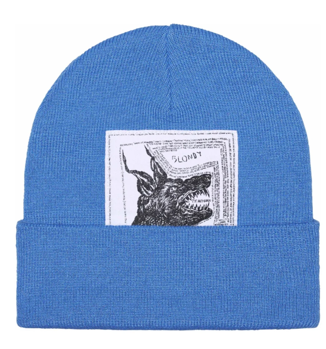 ?NEUF?Bonnet Supreme x The North Face   FW24   Bleu