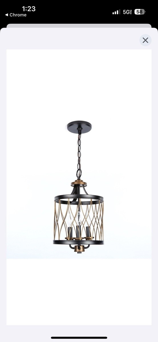 Rustic Industrial Pendant Light Vintage Ceiling Fixture Iron Cage