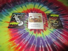 GRATEFUL DEAD BACKSTAGE PASS MARVEL SILVER SURFER HULK SHORELINE JUNE 6/2+3+4/95