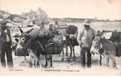 85 - Noirmoutier - SAN66149 - Promenade Mit Ane
