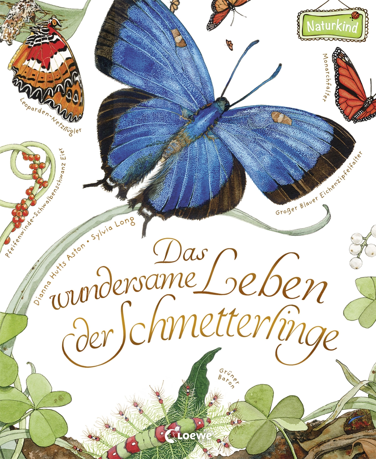 Thumbnail - Das Wundersame Leben Der Schmetterlinge, Dianna Aston