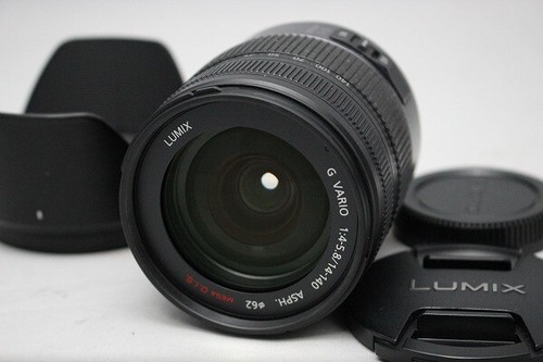 VG Panasonic Lumix G Vario 14-140mm f/4-5.8 Aspherical Mega O.I.S ED Lens - 第 1/6 張圖片