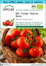 SAFLAX Kit cadeau - BIO - Tomate - Rose de Berne - 10 graines - Solanum