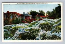 Santa Barbara CA-California Bungalows In Winter Vintage Postcard Standard Post