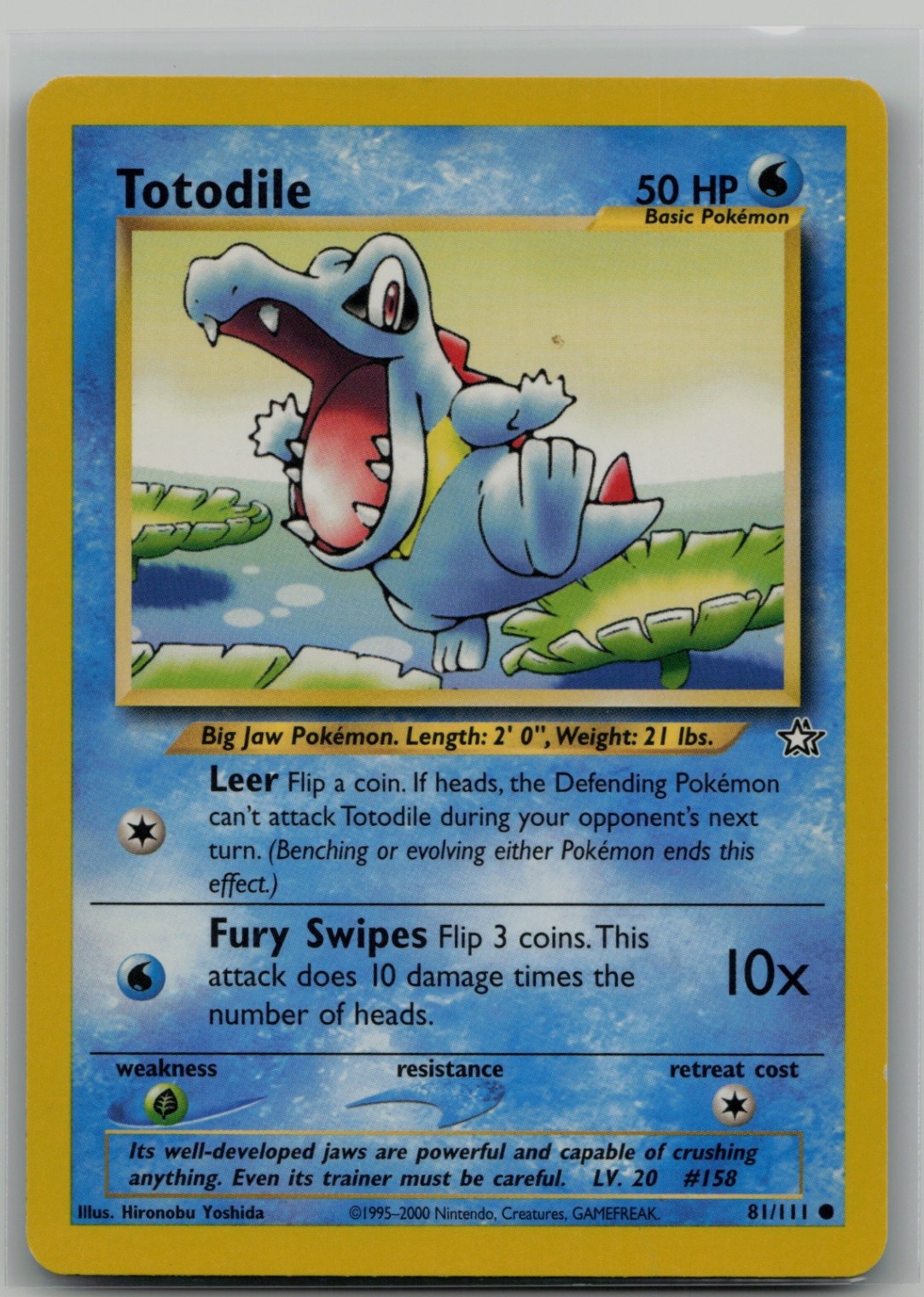 Totodile (81) Common Neo Genesis 081/111 NM
