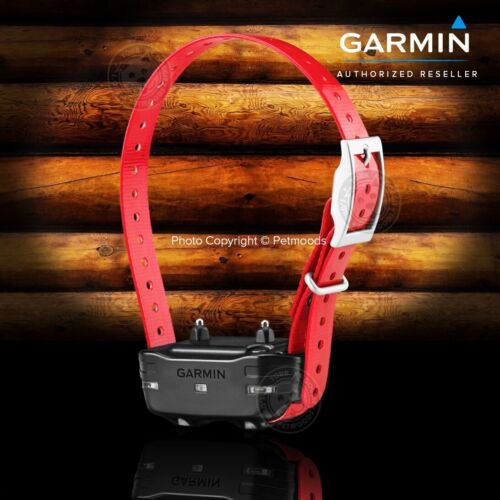 Garmin Sport PRO Remote 3 Dogs Collar Training and Bark Control - 010-01205-00 - Picture 4 of 12