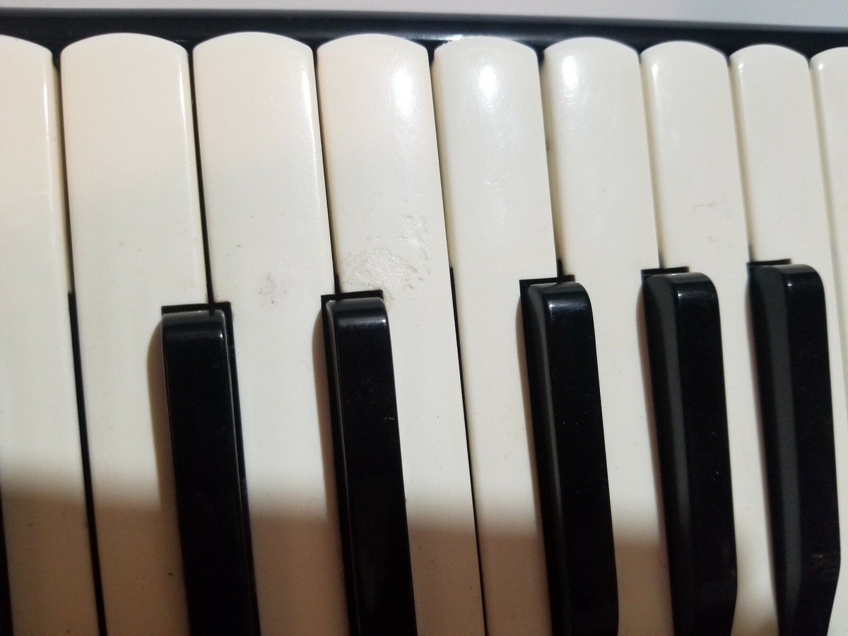 Vintage Hohner lucia lllp.. 96bass made in Germany | eBay Vintage Hohner lucia lllp.. 96bass made in Germany | eBay