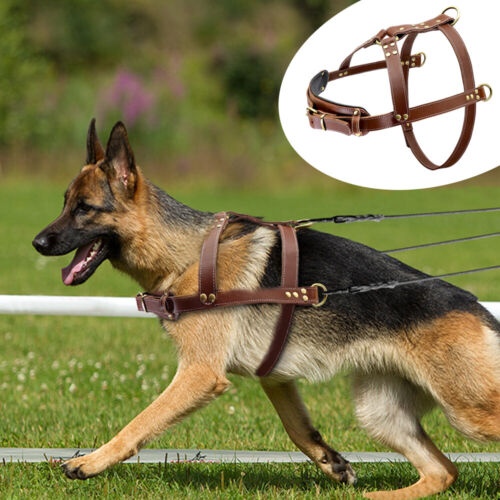 Genuine Leather Dog Harness Large & Extra Large Dog Weight Pulling Training Vest - Picture 1 of 13