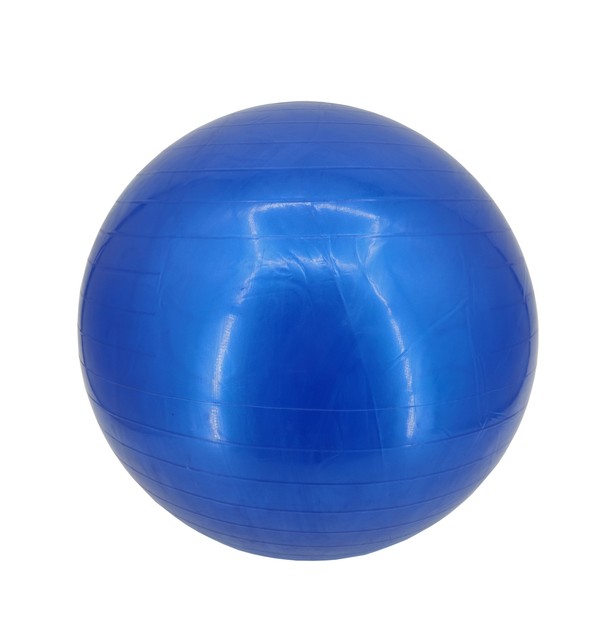 55Cm Exercise Ball Yoga Ball Fitness Stability Ball Balance Ball Gym Theraball 55Cm Exercise Ball Yoga Ball Fitness Stability Ball Balance Ball Gym Theraball