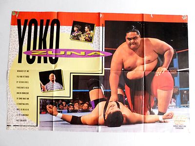 The Undertaker Yokozuna WWF Original Wrestling Poster 22x32 1993