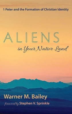 Warner M. Bailey | Aliens in Your Native Land | Buch | Englisch (2020)