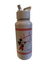 MICKEY MOUSE Insulated Water Bottle W/Straw Lid Disney 32 Oz
