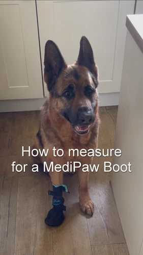 MediPaw Soft Bandage Protective Veterinary Dog Boots - Video 1 of 1