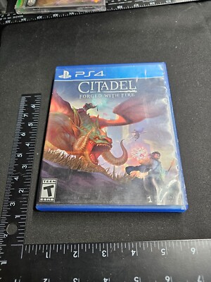 Citadel: Forged With Fire - Sony PlayStation 4