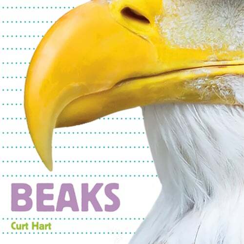 Beaks by Curt Hart: Used