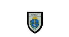 Parche bordado para planchar Blason Ville Chubut Argentina