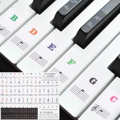 Piano Keyboard Stickers for 88/61/54/49 Keys Notes Guide Removable, Multicolor