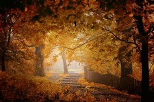 Landscape fall mist fence walkway leaves trees yellow Custom Gaming Mat Desk
