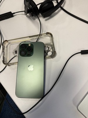 Apple iPhone 13 Pro - 256 GB - Alpine Green (Unlocked)
