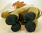 Bild 8 von 11