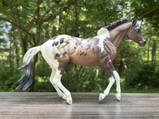 Breyerfest 2017 Matte Bollywood Surprise Pintaloosa ONLY 425 Made