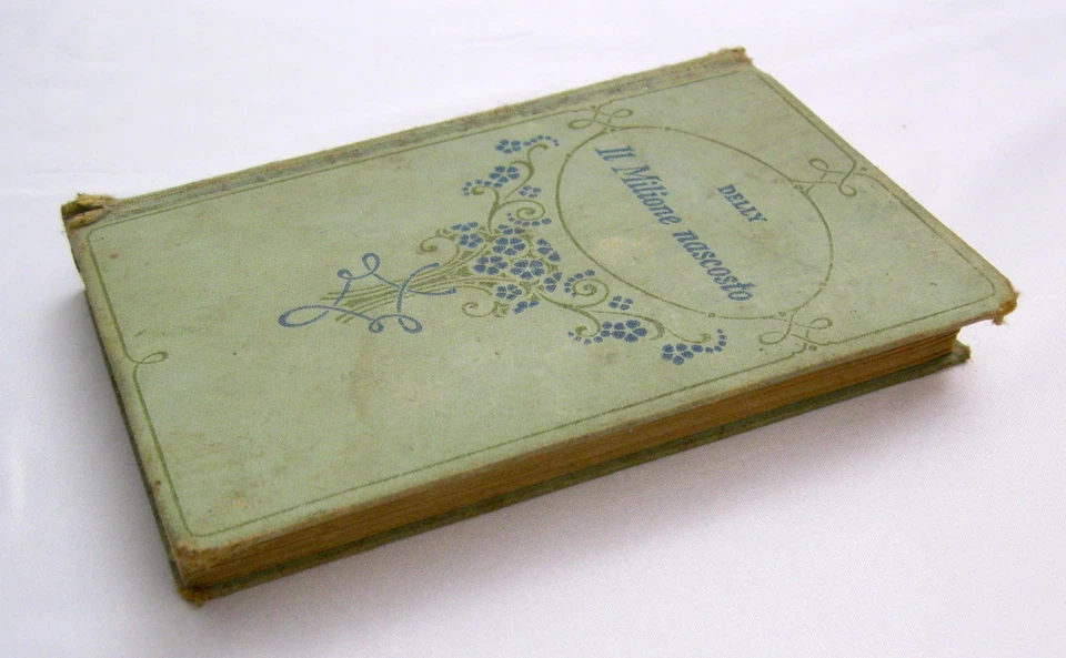 Libro "Il Milione nascosto" DELLY ed. Salani - Immagine 3 di 4