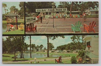 St Petersburg Florida Bay Pines Park Shuffleboard Chrome Postcard Unposted