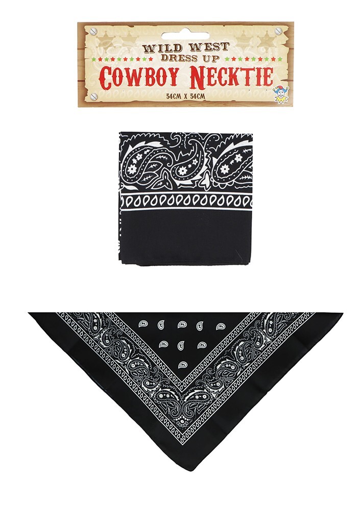 Country Western Cowboy Cowgirl Paisley Bandana Necktie - Black