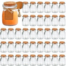 Small Glass Bottles with Cork Lids 3.4oz Mini Decorative Glass Containers