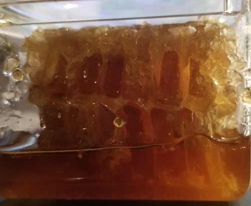 Honey: Local California 100 % Raw Orange Jasmine infused natural Chunk Comb - Picture 3 of 3