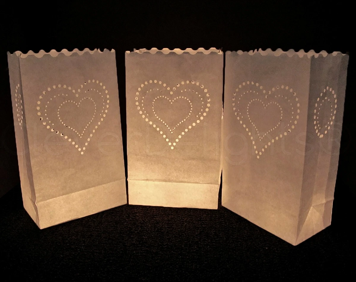 Luminaria bags 2024