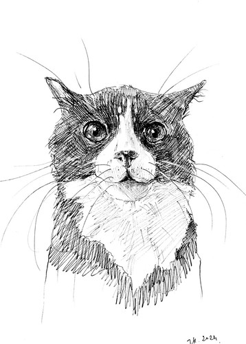 Ink Drawing Art Print of Original Black White Cat Pet Animal Sketch Signed - 第 1/2 張圖片