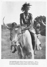 BOTSWANA Ox Racing at Gaberone - Vintage Print 1934