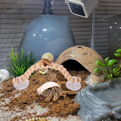Hermit Crab Climbing Toy Natural Coconut Reptile Hideout Reptile Climbing Rope - Picture 5 of 11