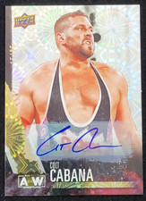 2021 Upper Deck AEW Spectrum All Elite Wrestling Cards Checklist and Odds 24
