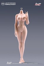 ANT N306B 1:12 Female Action Figure Body 6in Big Bust Pale Soldier Sports Model