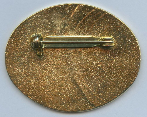 Vail Beaver Creek There's no Comparison Ski Skiing Badge Pin !!! - Picture 2 of 2
