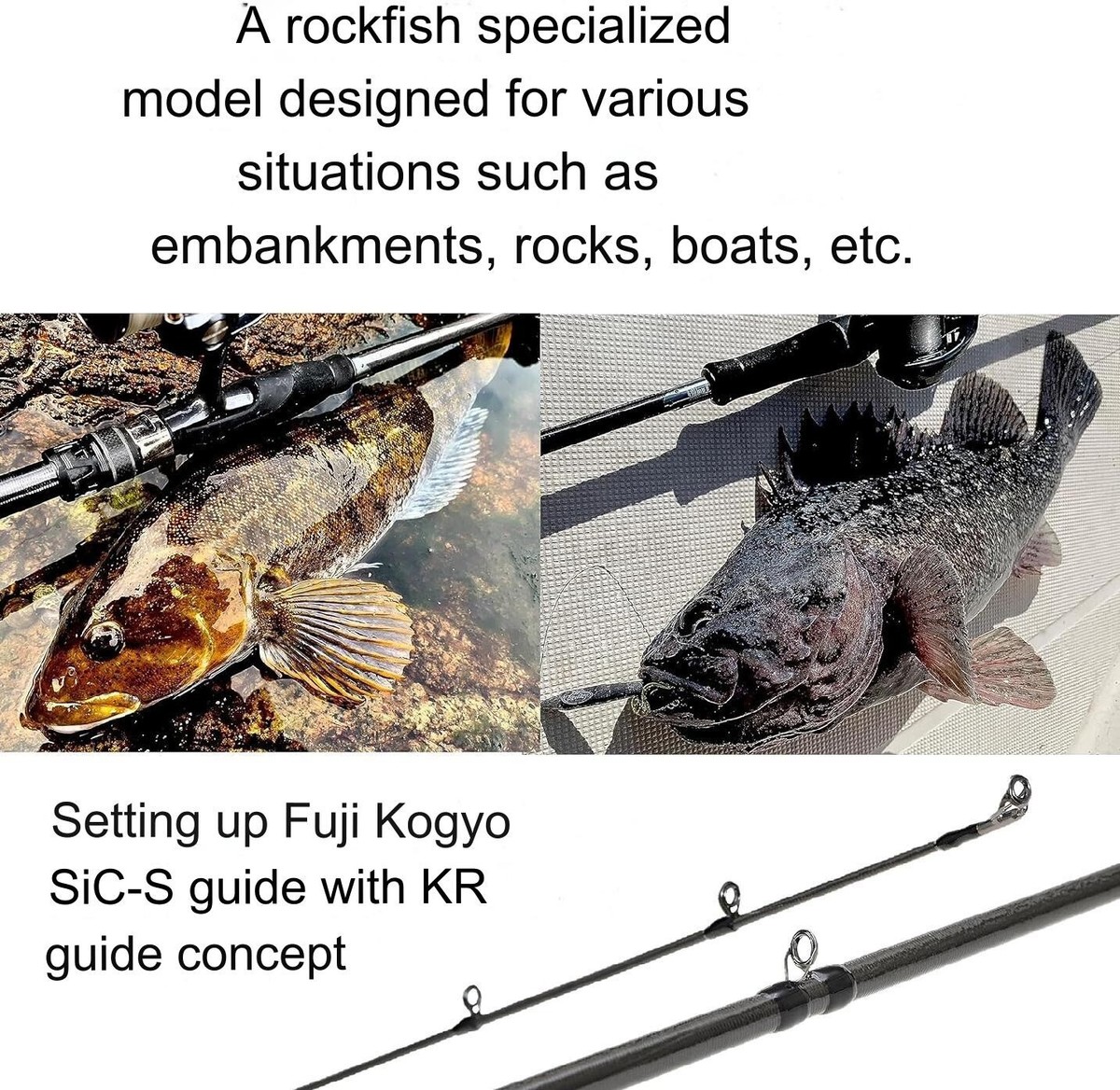 Abu Garcia Rockfish Rod Bait Salty Stage Prototype Rockfish