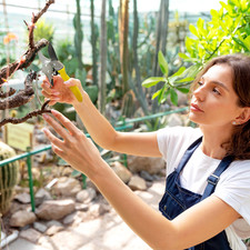 Garden Pruning Shears Ratchet SK5 Steel Sharp Non-Stick Branch Cutter Tool 