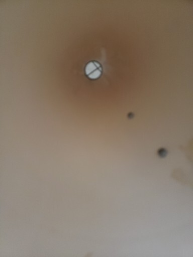 Picture 3 of 12