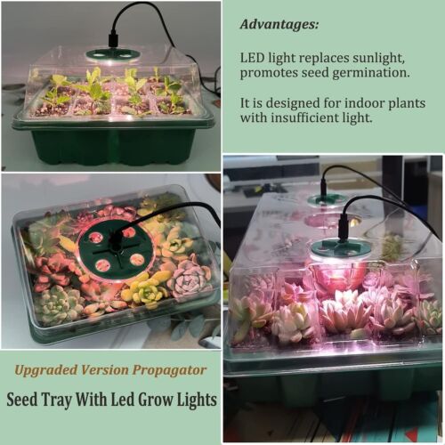 Electric Seed Tray Propagator Unit with Lights and Lids for Seed Germination - Picture 5 of 9