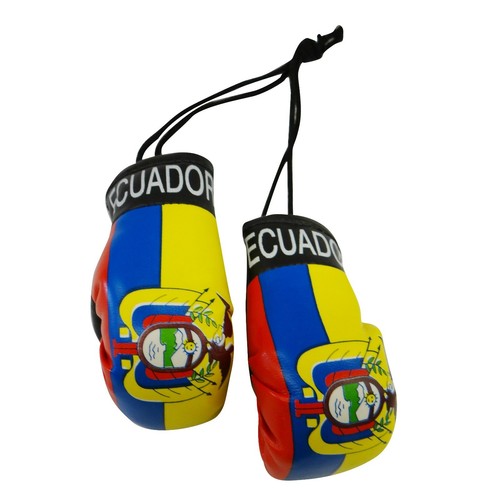 High Quality Country Flag MINI BOXING GLOVES - Rear View Mirror Gloves - New - Picture 49 of 134