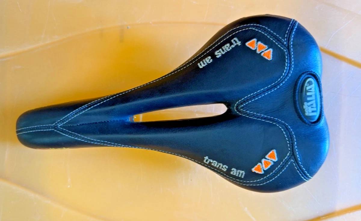 サドル　セライタリア　フライト　トランザム　trans am Selle Italia Flite Trans Am Road Saddle Vintage | eBay
