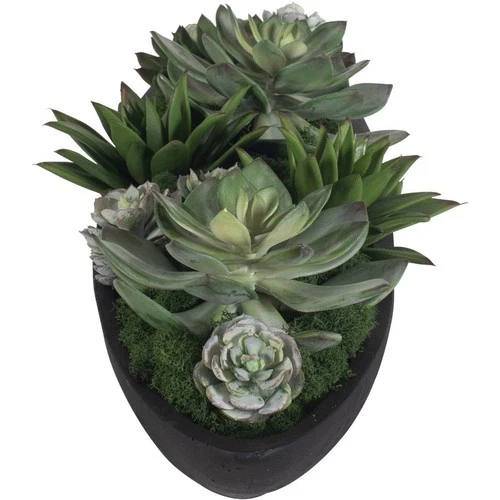 Uttermost 60260 Verde Succulent Black and Green Centerpiece In Bowl - Picture 3 of 8