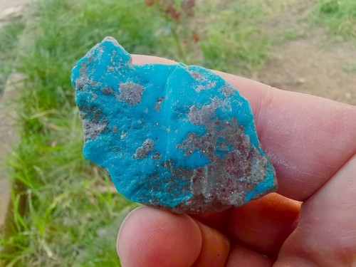 500 Carat Lots Natural Persian Turquoise & Pyrite Rough stone , No Treatments - Picture 8 of 16