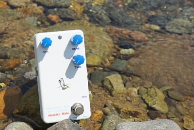 ベース Animals Pedal BASS OVERDRIVE MOD BY BJF Animals Pedal SURFING POLAR BEAR BASS OVERDRIVE MOD BY BJF[Bass